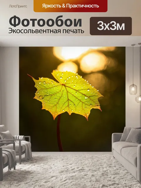 Фотообои листочек на утреннем солнце, роса сверкает на его поверхности
