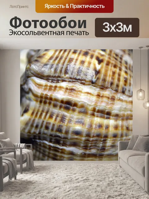 Фотообои Ракушка