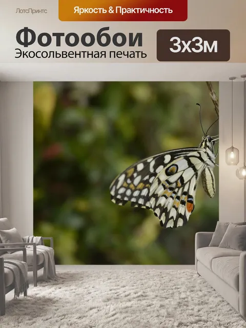Фотообои Бабочка