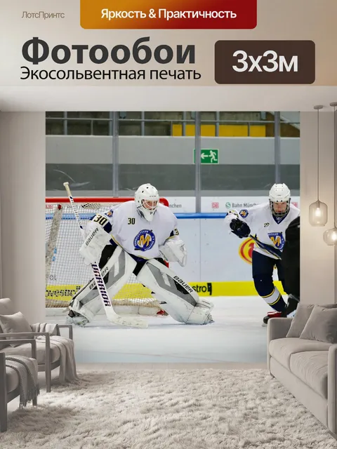 Фотообои Хоккей на льду