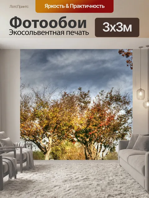 Фотообои Вершина осеннего дерева