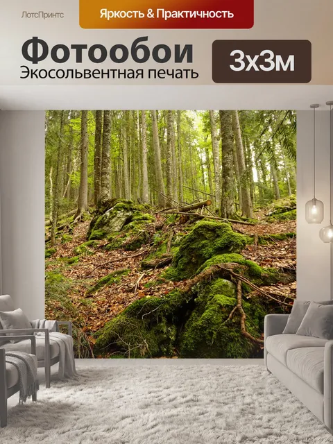 Фотообои Румыния