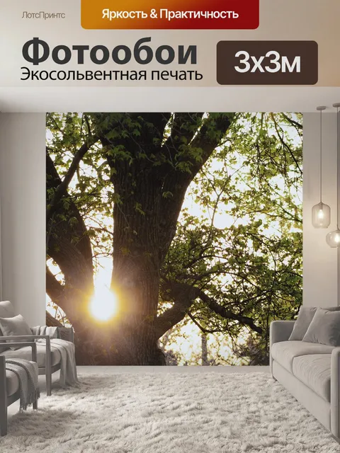 Фотообои Солнце