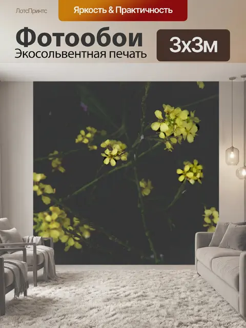 Фотообои Желтые цветы горчицы