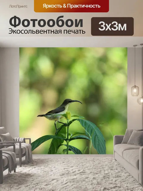 Фотообои Солнечная птица