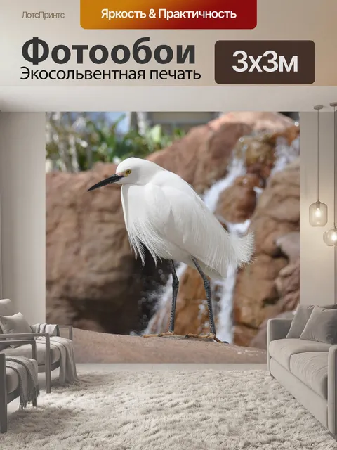 Фотообои Цапля