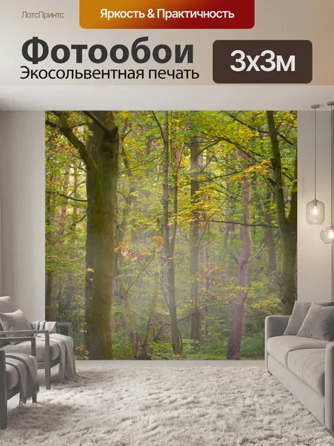 Фотообои лес