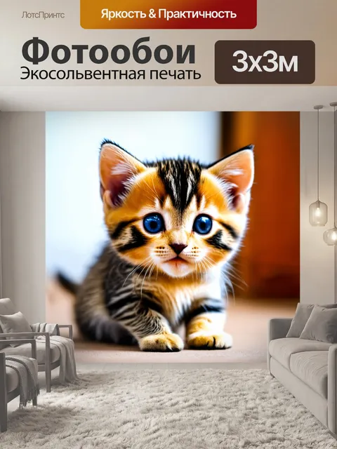 Фотообои котенок, с интересом смотрящий в камеру