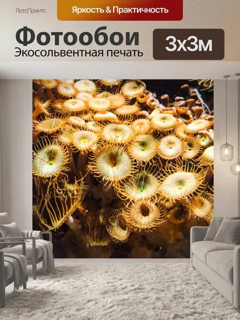 Фотообои Подводные растения