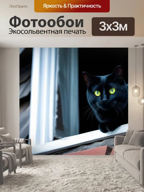 Фотообои черная кошка на подоконнике старого дома