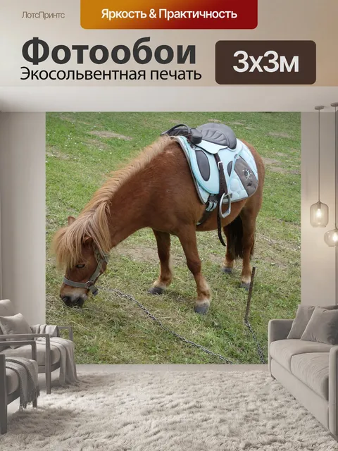Фотообои Маленькая лошадка