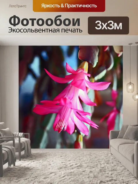 Фотообои ярко-розовый краб коготь цветок