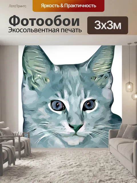 Фотообои Мейн кун
