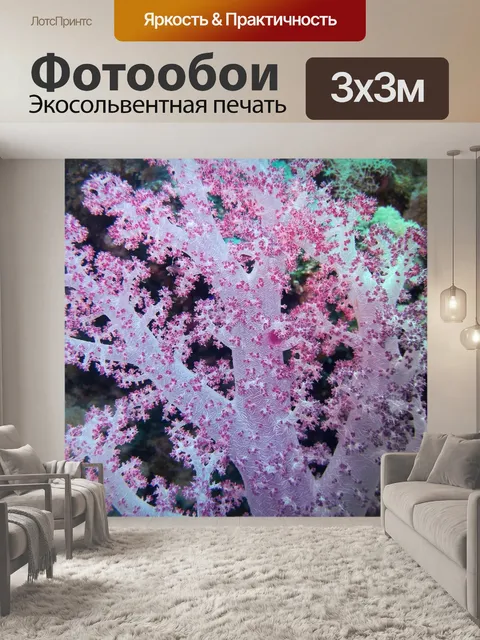 Фотообои Египет