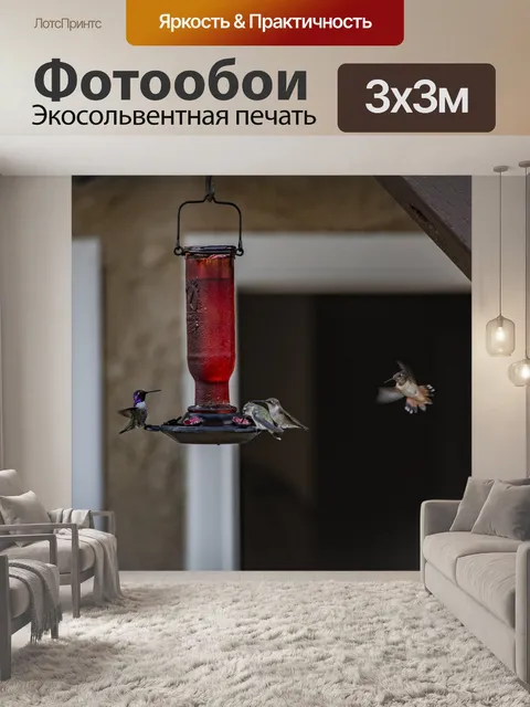 Фотообои Полет на заднем дворе Hummingbirds