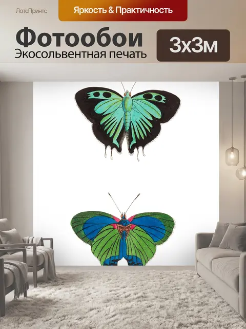 Фотообои Бабочка моли мотылек винтаж