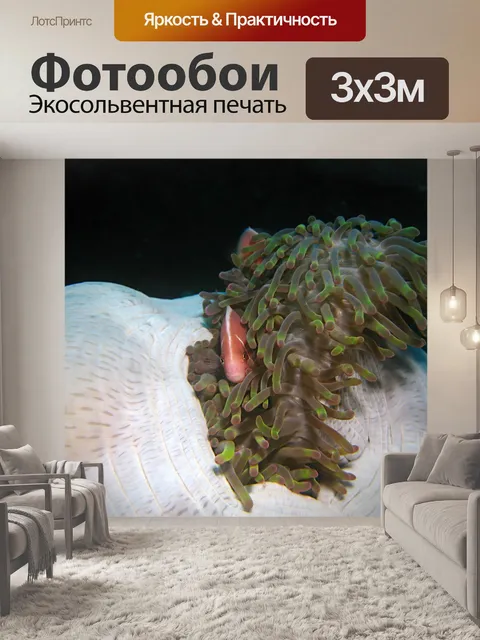 Фотообои Индонезия