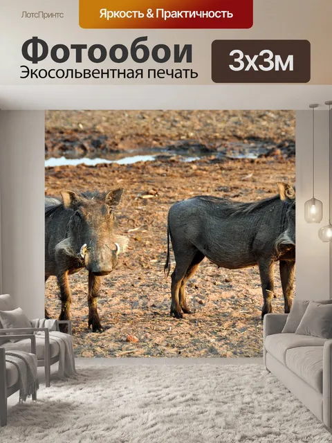 Фотообои Африке