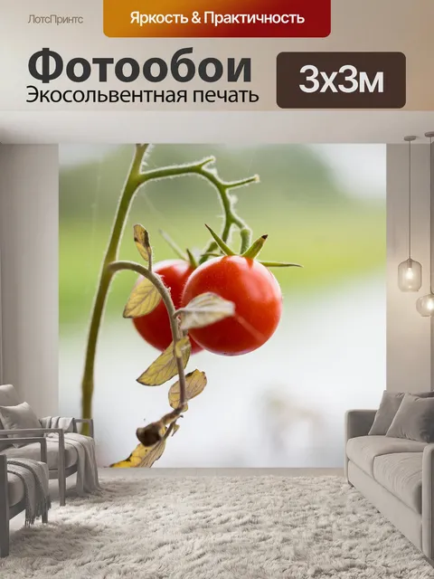 Фотообои Небольшой помидор