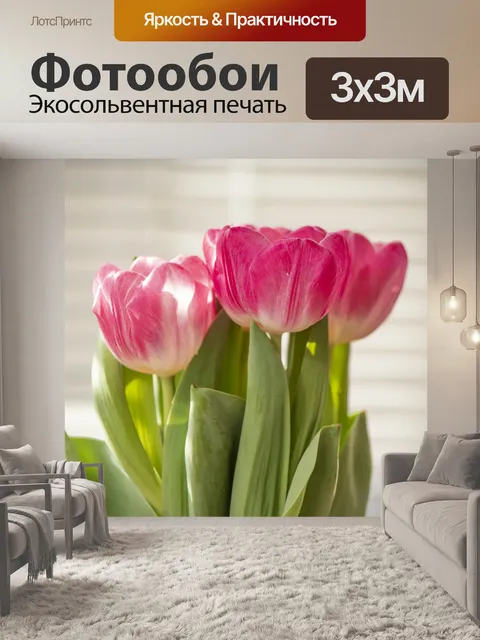 Фотообои Букет тюльпанов крупным планом