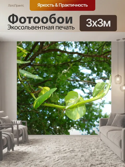 Фотообои Дерево
