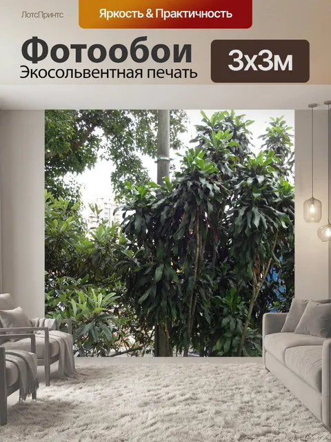 Фотообои Деревья - Растения