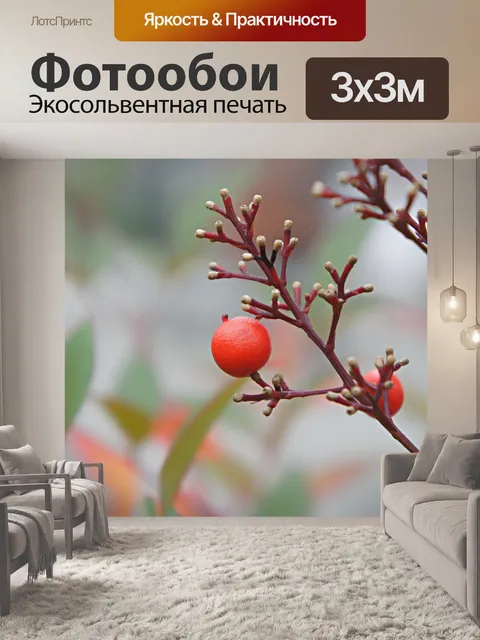 Фотообои красные ягоды