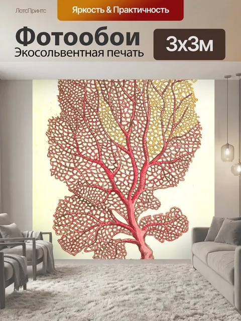 Фотообои Коралловые старинные картины искусства