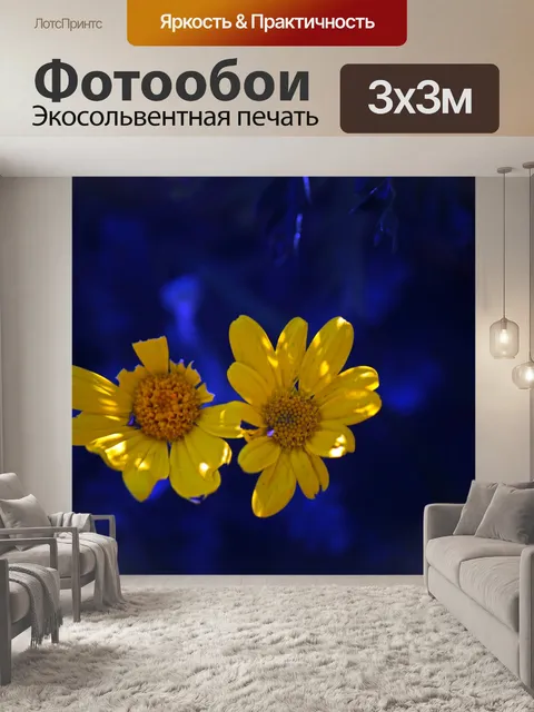 Фотообои ярко-желтые ромашки