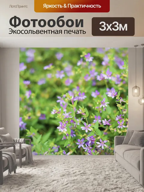 Фотообои Цветок