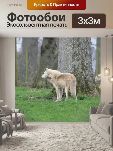 Фотообои Волки
