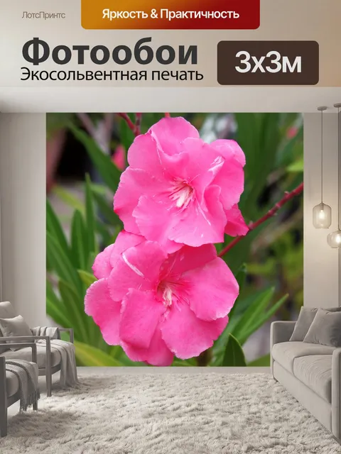 Фотообои Олеандр