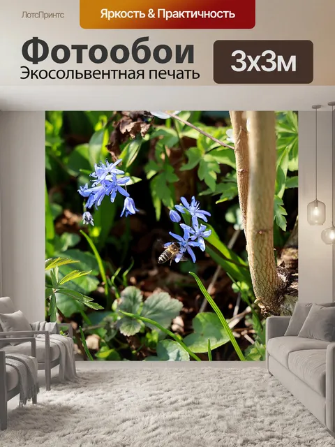 Фотообои Бабочка орхидея