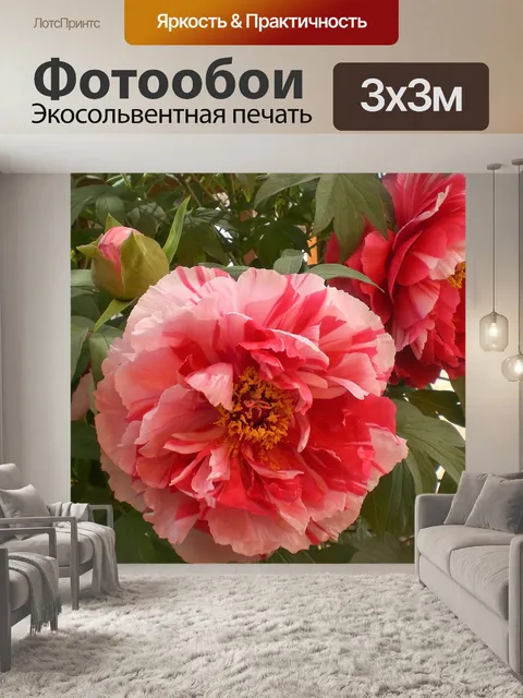 Фотообои Пион