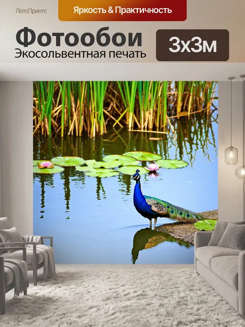 Фотообои с павлином, который стоит у края озера, его отражение виднеется в спокойной воде, а на заднем плане можно…