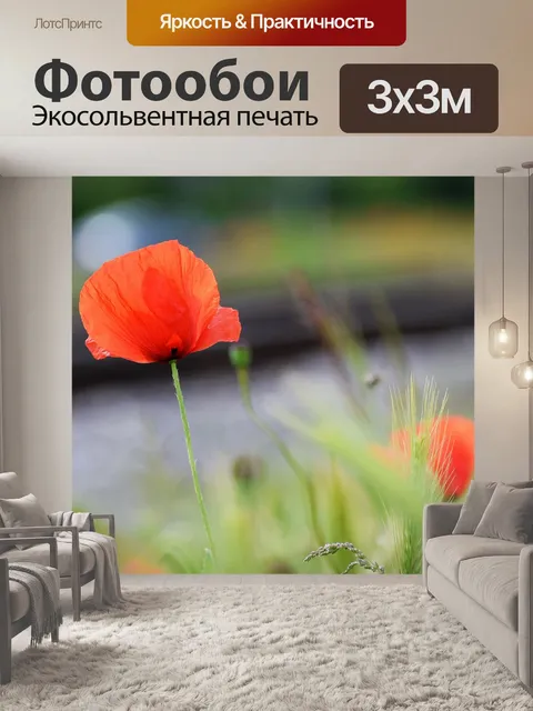 Фотообои Красные маки