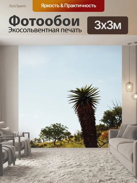 Фотообои высокий алоэ на фоне неба