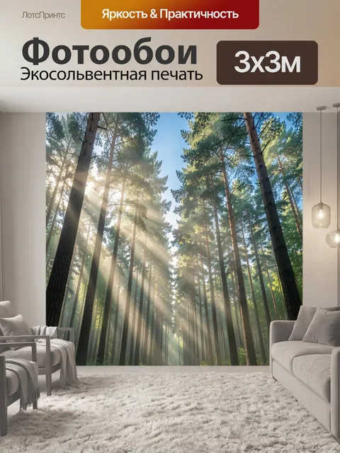 Фотообои Солнечный сосновый лес
