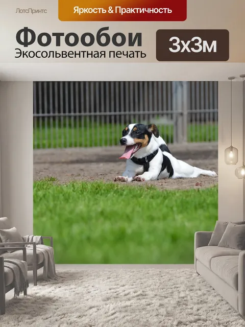 Фотообои Небольшой