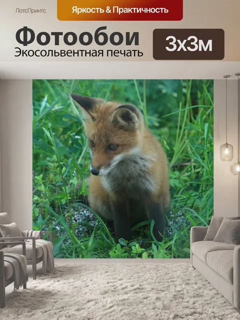 Фотообои Рыжая лиса