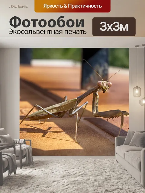 Фотообои Любопытный богомол