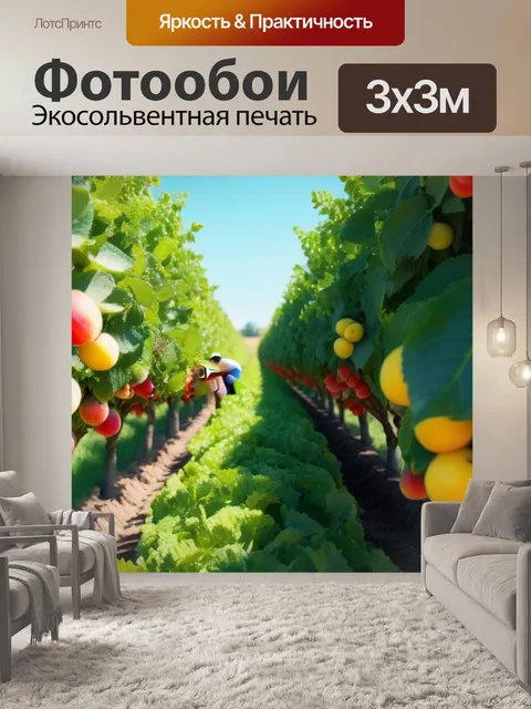 Фотообои сбор фруктов в теплый солнечный день