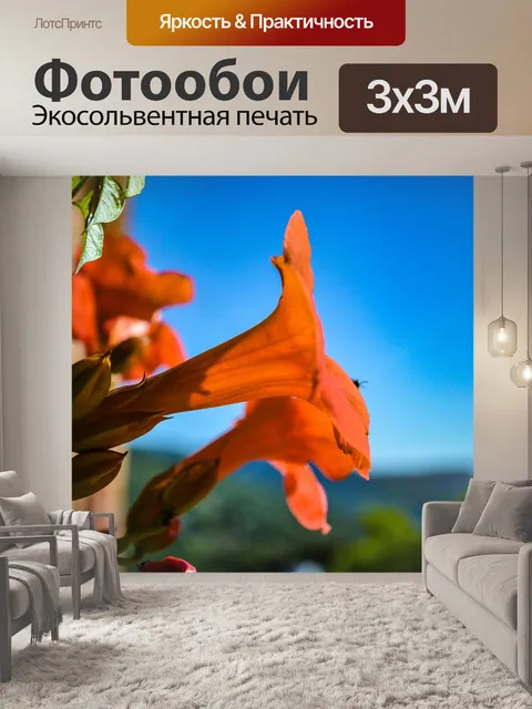 Фотообои Цветок