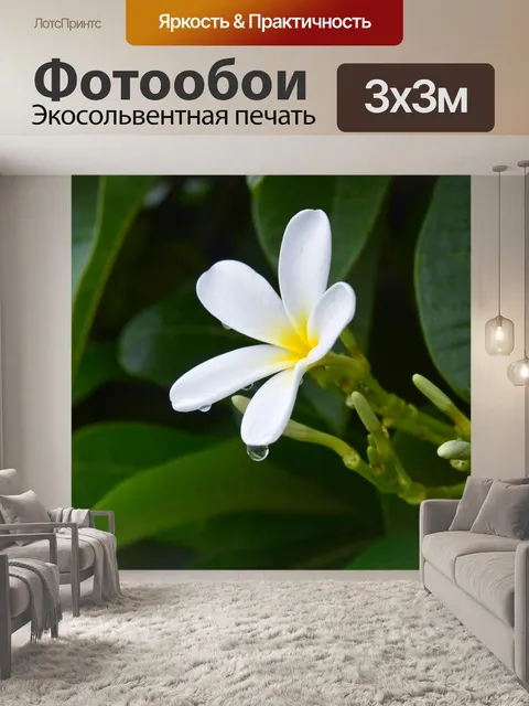 Фотообои Цветы пагоды 1