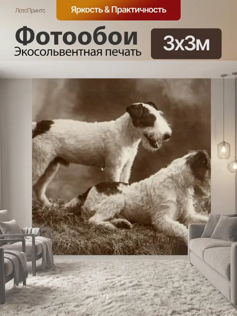 Фотообои Фокстерьер Собаки