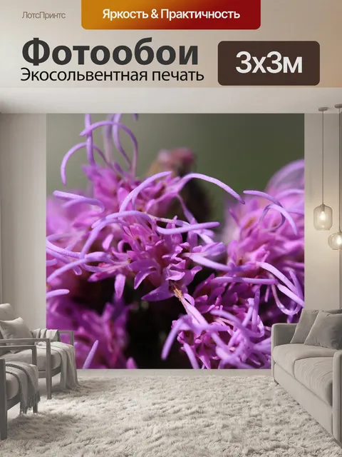 Фотообои Справочная информация