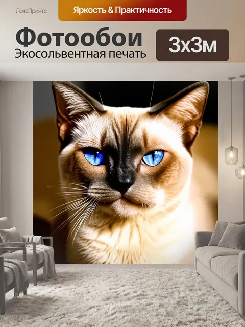 Фотообои сосредоточьтесь на глазах сиамской кошки, изображая их яркие и выразительные с помощью техники макрофотографии