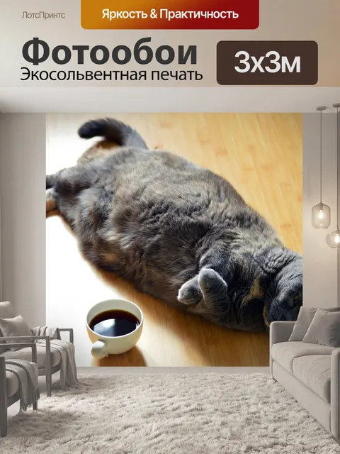 Фотообои Кошка