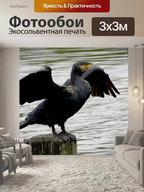 Фотообои Птица