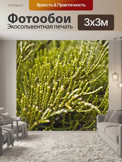 Фотообои Зеленые растения
